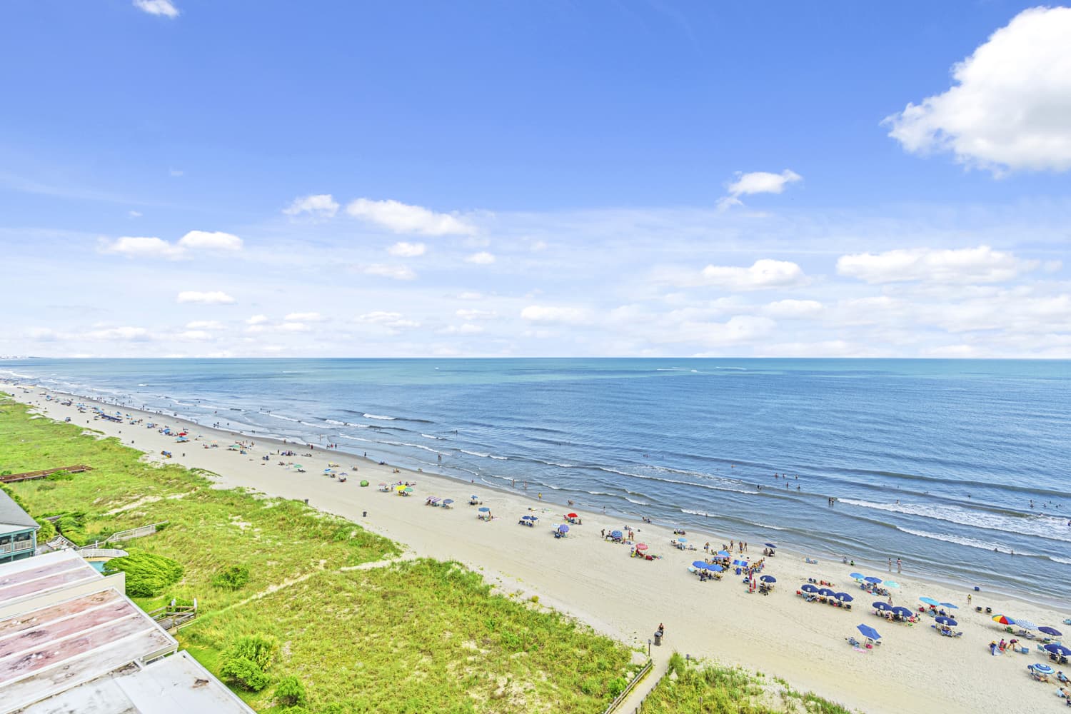 Windy Hill Dunes - 1102