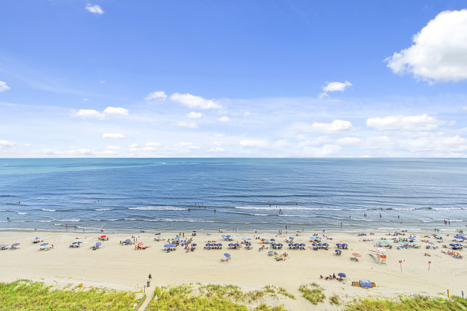 Windy Hill Dunes - 1102