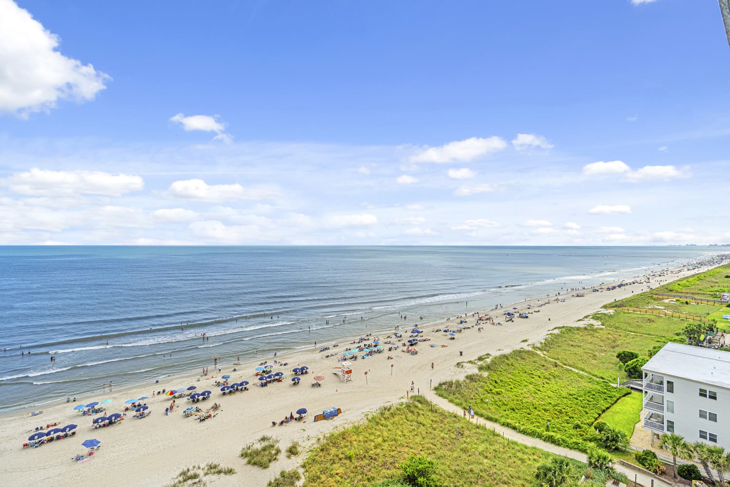 Windy Hill Dunes - 1102