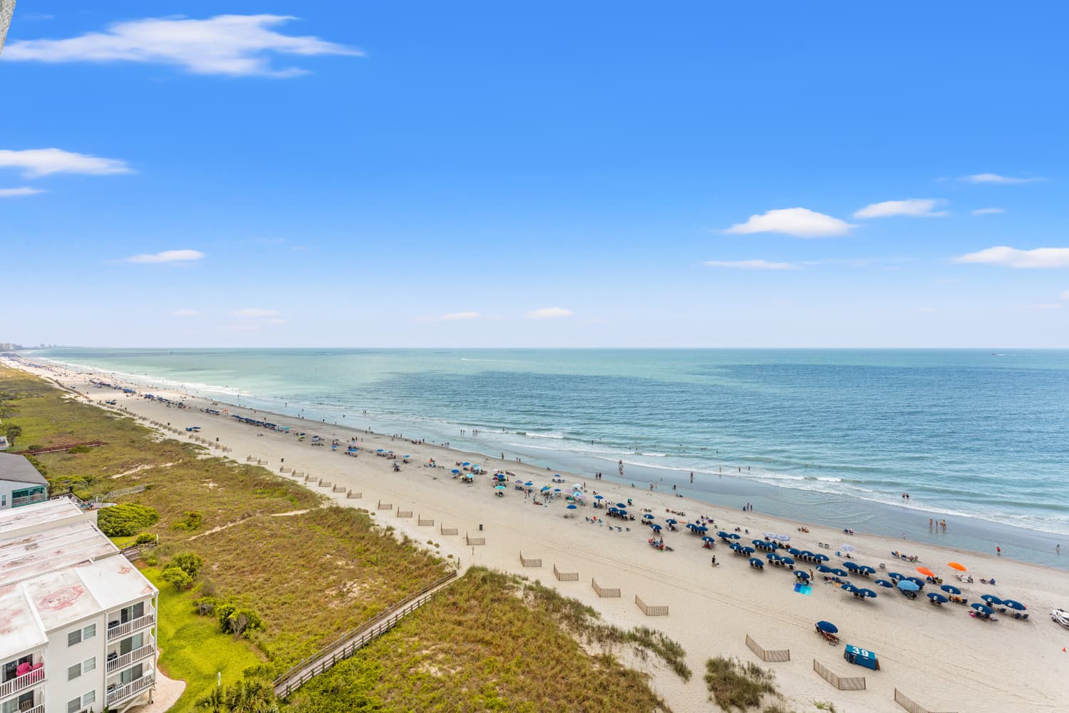 Windy Hill Dunes - 1205