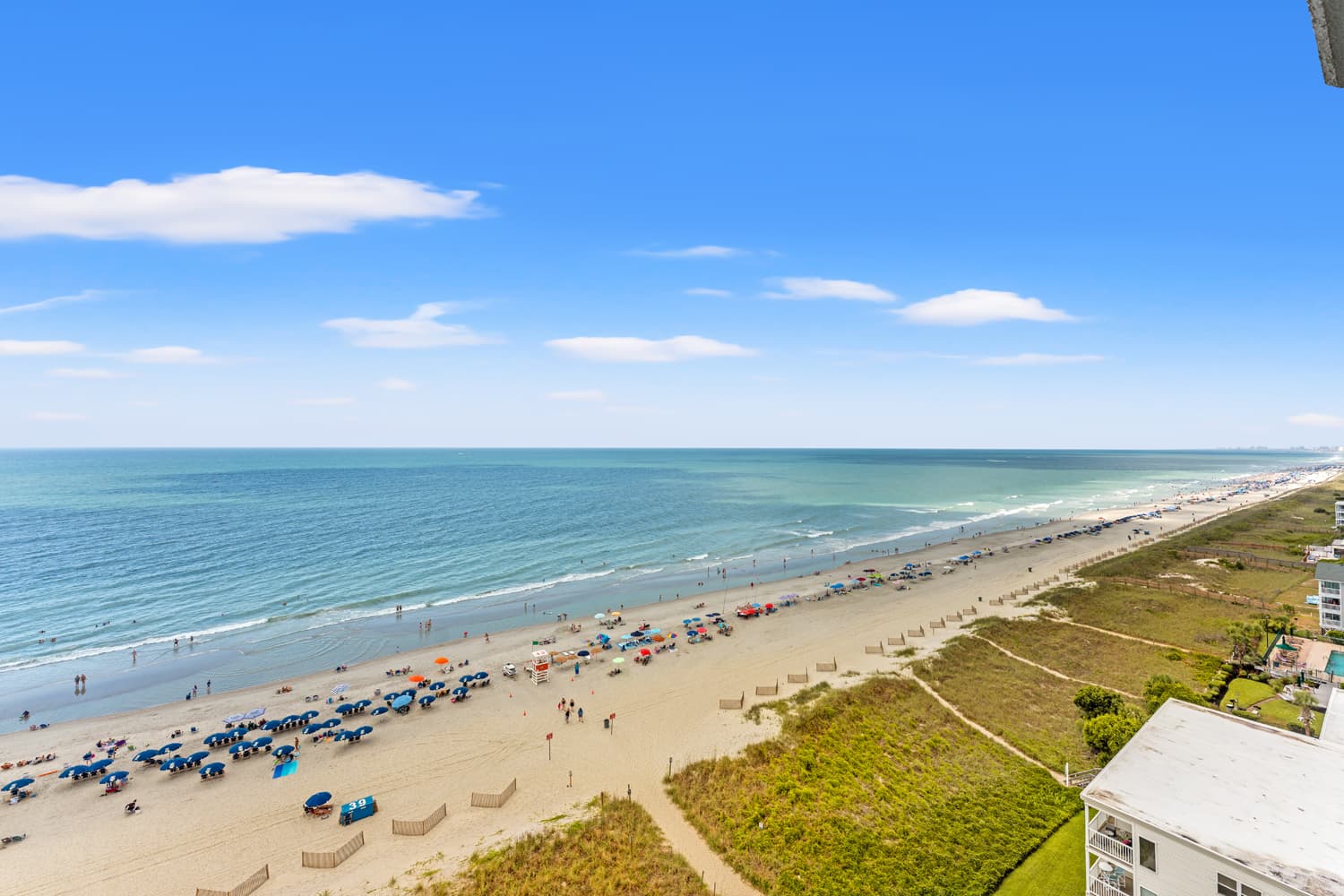 Windy Hill Dunes - 1205