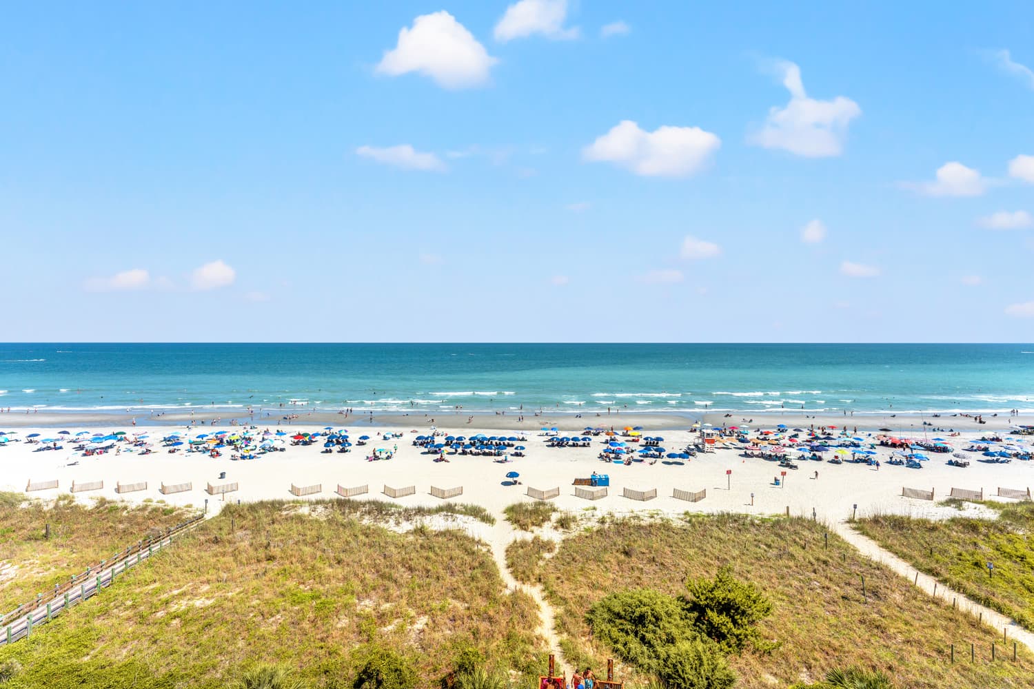 Windy Hill Dunes - 704